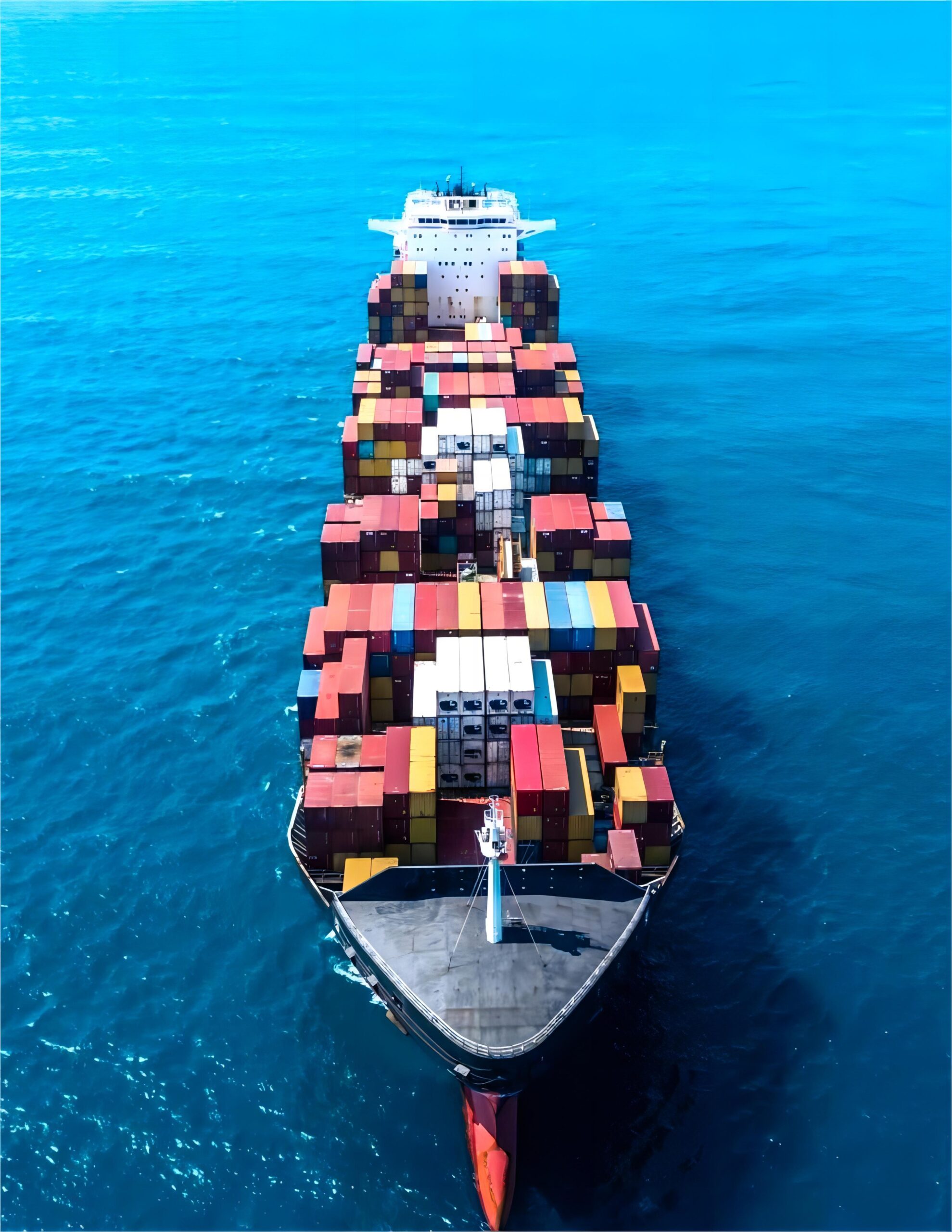 Logistics professional checking customs documents for German import