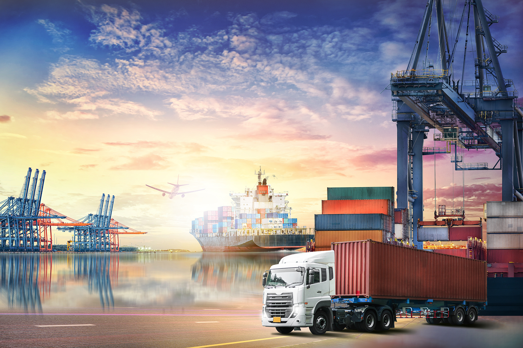 Logistics professional tracking a shipment on a digital dashboard
